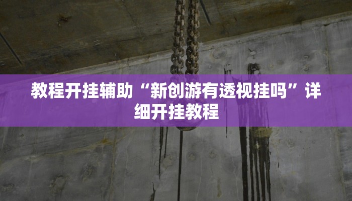 教程开挂辅助“新创游有透视挂吗”详细开挂教程