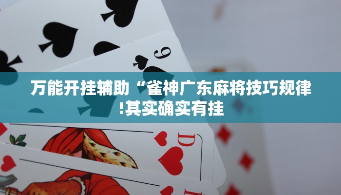 万能开挂辅助“雀神广东麻将技巧规律!其实确实有挂
