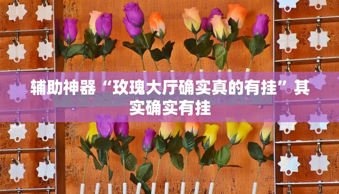 辅助神器“玫瑰大厅确实真的有挂”其实确实有挂