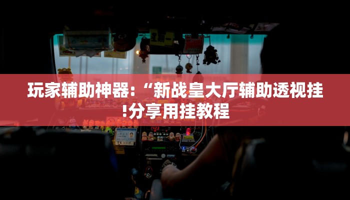 玩家辅助神器:“新战皇大厅辅助透视挂!分享用挂教程