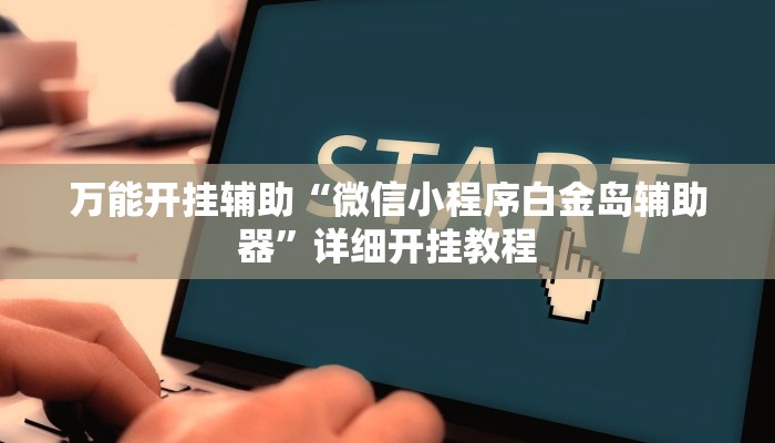 万能开挂辅助“微信小程序白金岛辅助器”详细开挂教程