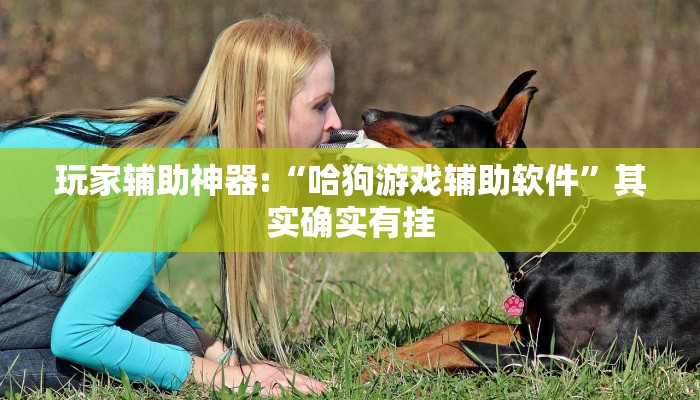 玩家辅助神器:“哈狗游戏辅助软件”其实确实有挂