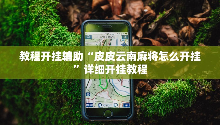 教程开挂辅助“皮皮云南麻将怎么开挂”详细开挂教程