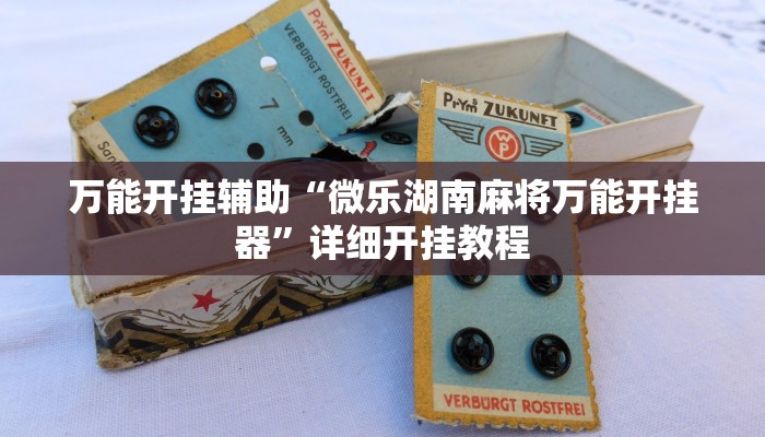 万能开挂辅助“微乐湖南麻将万能开挂器”详细开挂教程