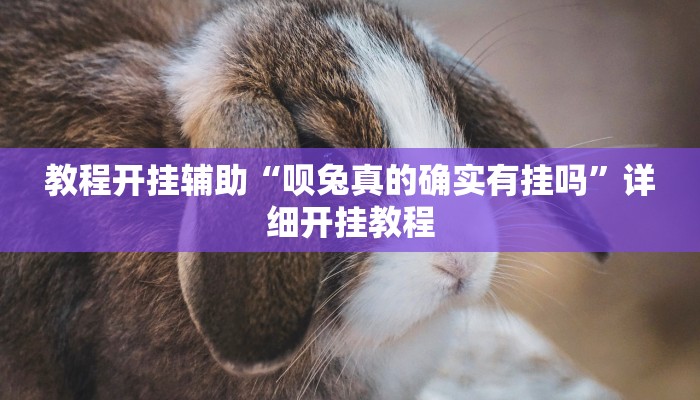 教程开挂辅助“呗兔真的确实有挂吗”详细开挂教程