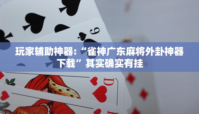 玩家辅助神器:“雀神广东麻将外卦神器下载”其实确实有挂