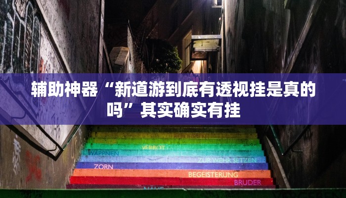 辅助神器“新道游到底有透视挂是真的吗”其实确实有挂