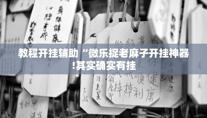 教程开挂辅助“微乐捉老麻子开挂神器!其实确实有挂