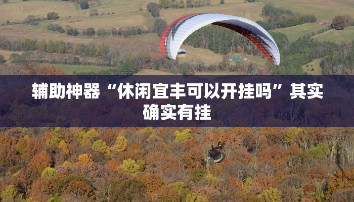 辅助神器“休闲宜丰可以开挂吗”其实确实有挂