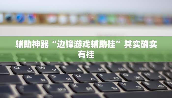 辅助神器“边锋游戏辅助挂”其实确实有挂