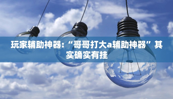 玩家辅助神器:“哥哥打大a辅助神器”其实确实有挂