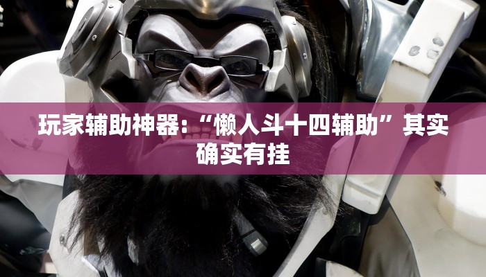 玩家辅助神器:“懒人斗十四辅助”其实确实有挂