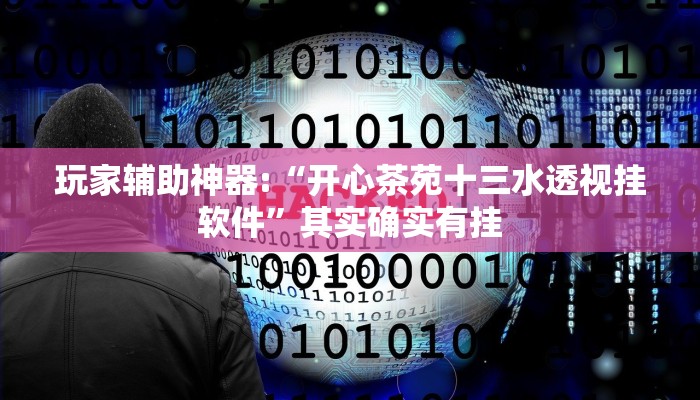 玩家辅助神器:“开心茶苑十三水透视挂软件”其实确实有挂