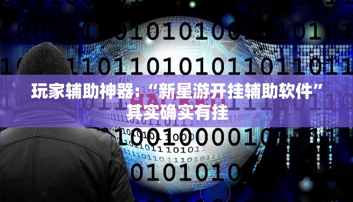 玩家辅助神器:“新星游开挂辅助软件”其实确实有挂