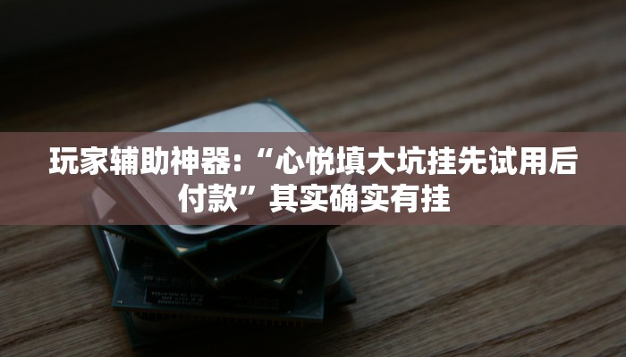 玩家辅助神器:“心悦填大坑挂先试用后付款”其实确实有挂