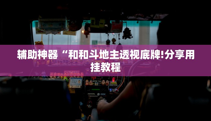 辅助神器“和和斗地主透视底牌!分享用挂教程
