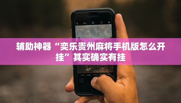 辅助神器“奕乐贵州麻将手机版怎么开挂”其实确实有挂