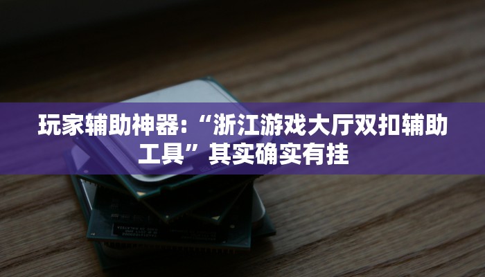 玩家辅助神器:“浙江游戏大厅双扣辅助工具”其实确实有挂
