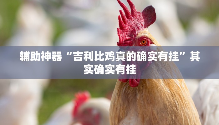 辅助神器“吉利比鸡真的确实有挂”其实确实有挂