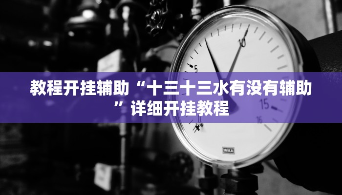 教程开挂辅助“十三十三水有没有辅助”详细开挂教程