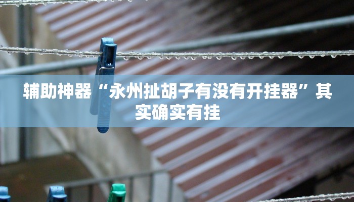 辅助神器“永州扯胡子有没有开挂器”其实确实有挂