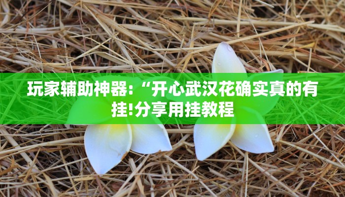 玩家辅助神器:“开心武汉花确实真的有挂!分享用挂教程