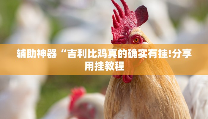辅助神器“吉利比鸡真的确实有挂!分享用挂教程