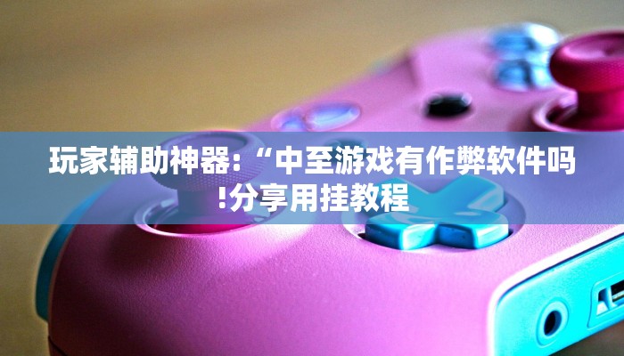 玩家辅助神器:“中至游戏有作弊软件吗!分享用挂教程
