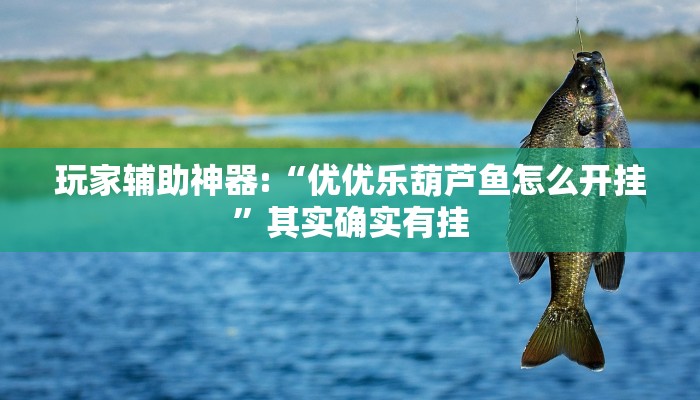 玩家辅助神器:“优优乐葫芦鱼怎么开挂”其实确实有挂