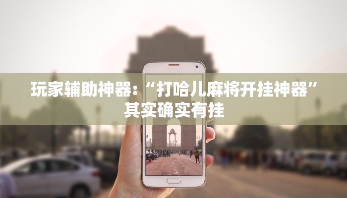 玩家辅助神器:“打哈儿麻将开挂神器”其实确实有挂