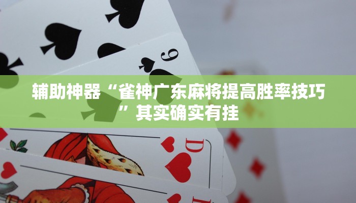 辅助神器“雀神广东麻将提高胜率技巧”其实确实有挂