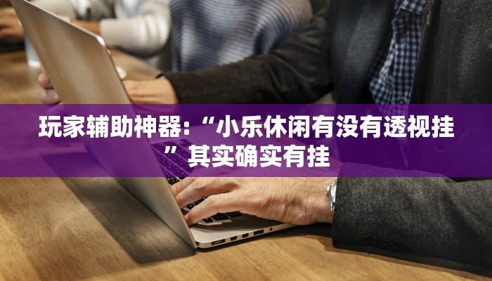 玩家辅助神器:“小乐休闲有没有透视挂”其实确实有挂