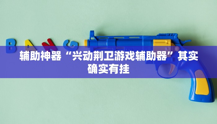 辅助神器“兴动荆卫游戏辅助器”其实确实有挂