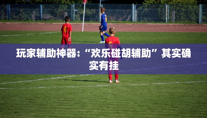 玩家辅助神器:“欢乐碰胡辅助”其实确实有挂