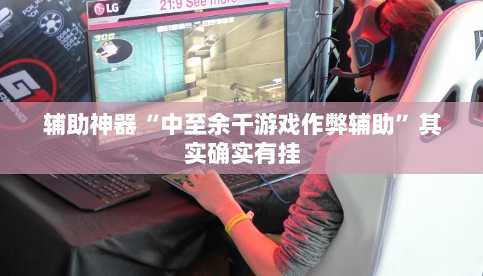 辅助神器“中至余干游戏作弊辅助”其实确实有挂