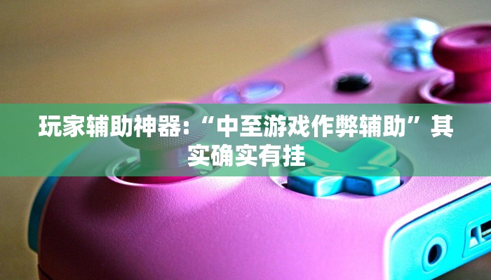 玩家辅助神器:“中至游戏作弊辅助”其实确实有挂