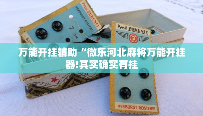 万能开挂辅助“微乐河北麻将万能开挂器!其实确实有挂