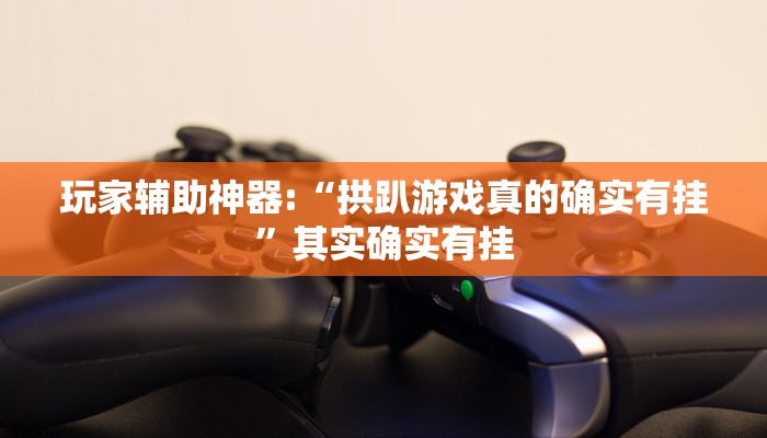 玩家辅助神器:“拱趴游戏真的确实有挂”其实确实有挂