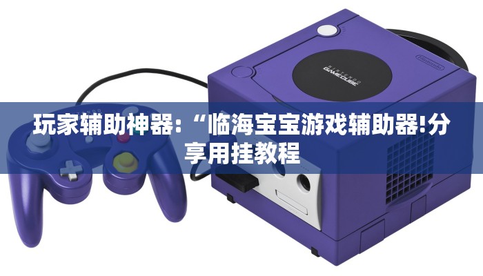 玩家辅助神器:“临海宝宝游戏辅助器!分享用挂教程