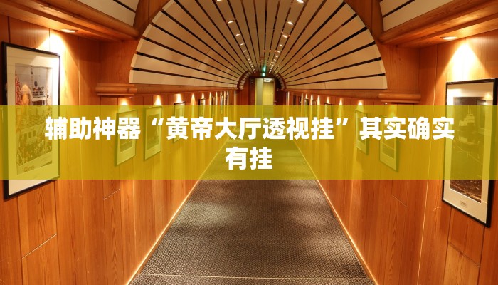 辅助神器“黄帝大厅透视挂”其实确实有挂