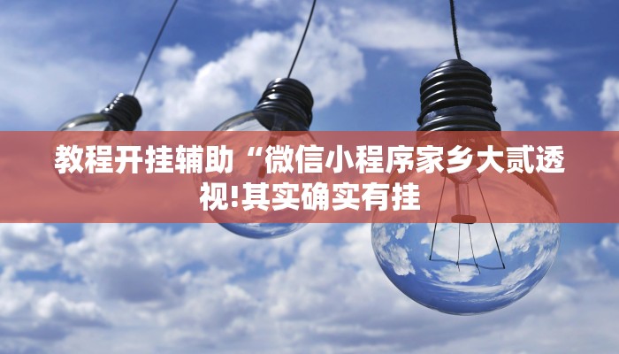 教程开挂辅助“微信小程序家乡大贰透视!其实确实有挂