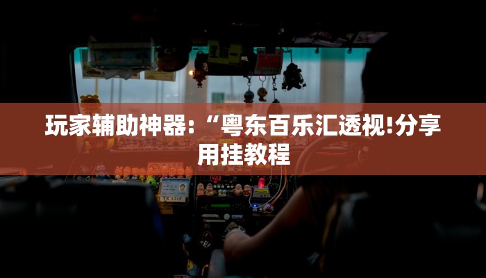玩家辅助神器:“粤东百乐汇透视!分享用挂教程