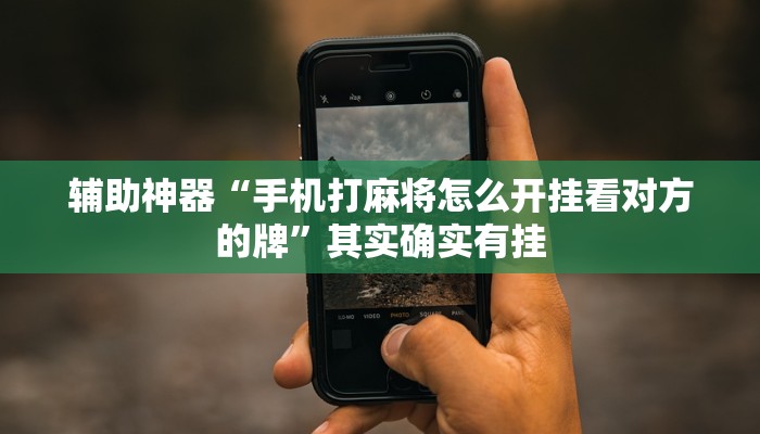 辅助神器“手机打麻将怎么开挂看对方的牌”其实确实有挂