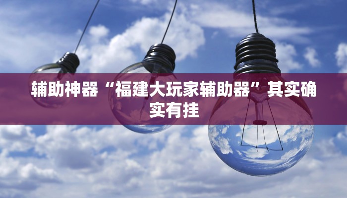辅助神器“福建大玩家辅助器”其实确实有挂