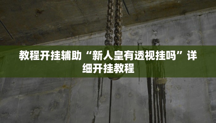 教程开挂辅助“新人皇有透视挂吗”详细开挂教程