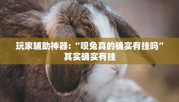 玩家辅助神器:“呗兔真的确实有挂吗”其实确实有挂