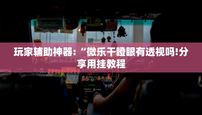 玩家辅助神器:“微乐干瞪眼有透视吗!分享用挂教程