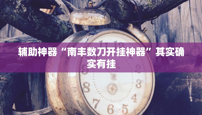 辅助神器“南丰数刀开挂神器”其实确实有挂