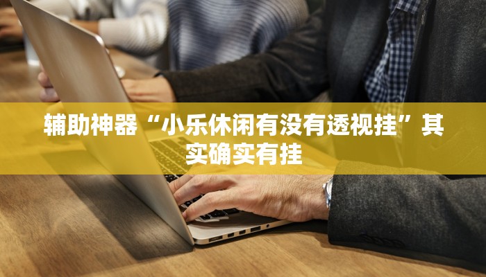 辅助神器“小乐休闲有没有透视挂”其实确实有挂