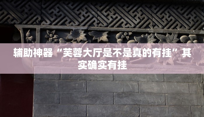 辅助神器“芙蓉大厅是不是真的有挂”其实确实有挂